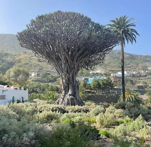 Mareverde, 2 * Costa Adeje (Tenerife)