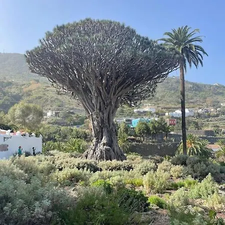Mareverde, 2 * Costa Adeje (Tenerife)
